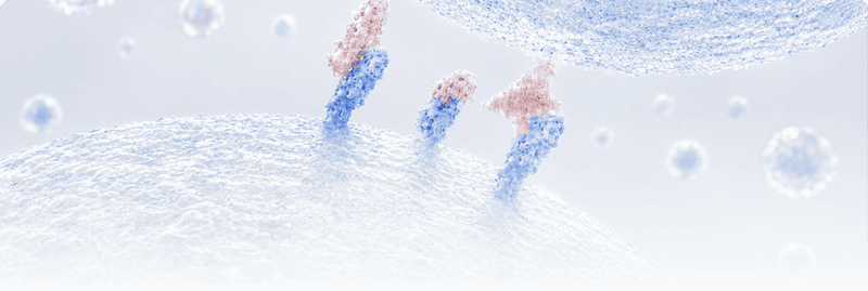 Immune Checkpoint Proteins